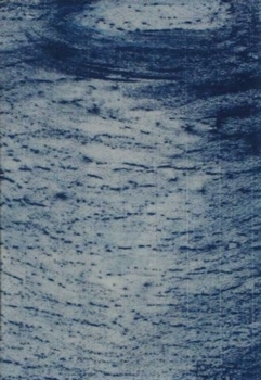 Ultraschall II    1999    Kreide auf Papier    33 x 22 cm